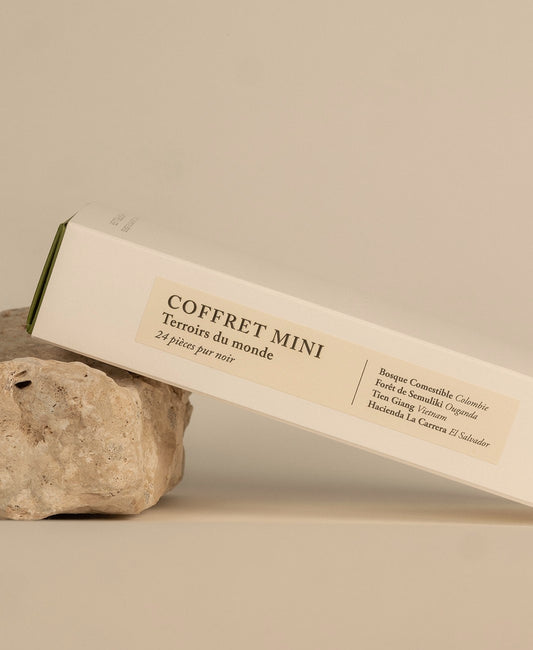 Coffret_mini_chocolats_Terroirs_du_Monde