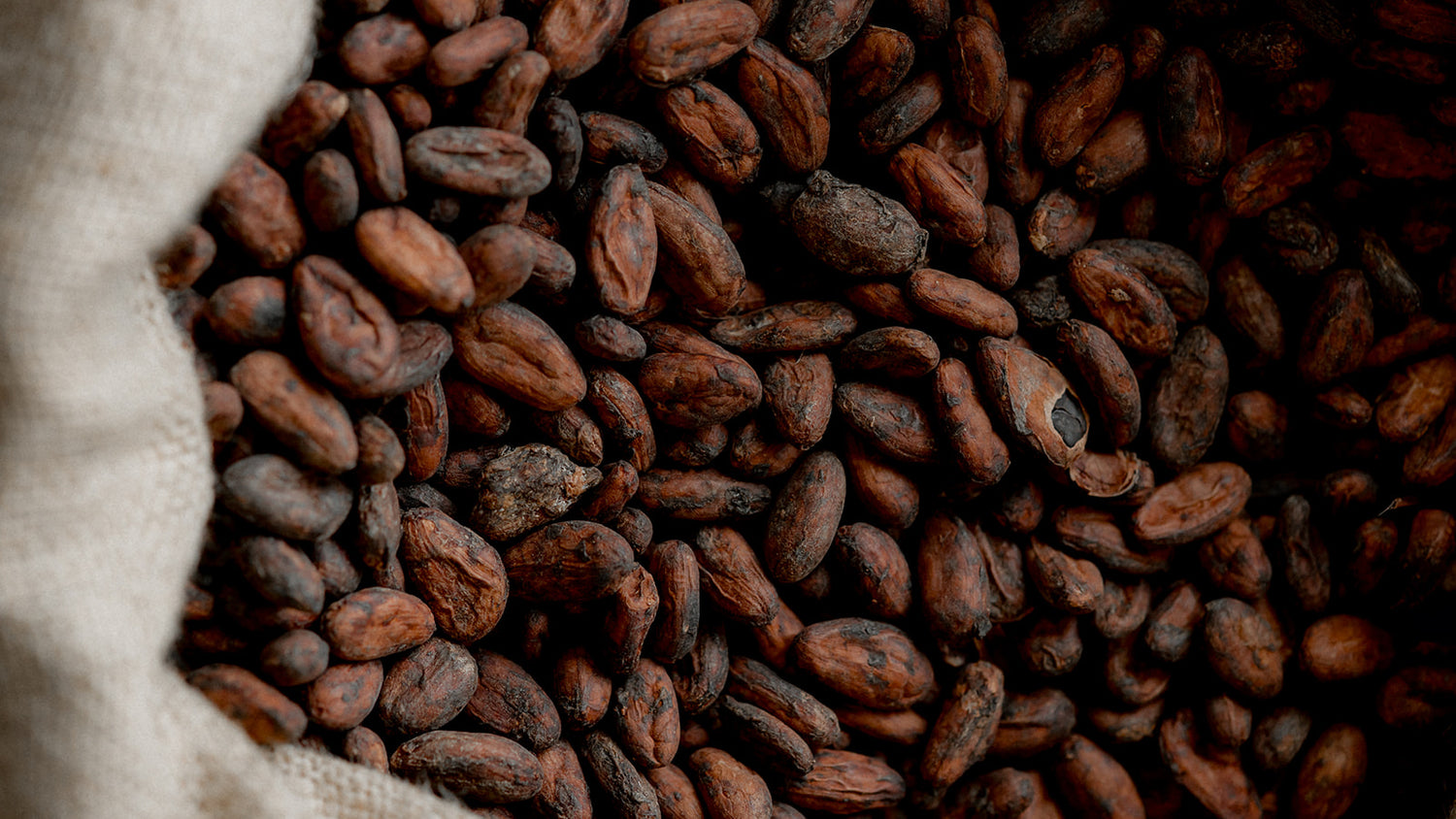 Ōme Chocolat